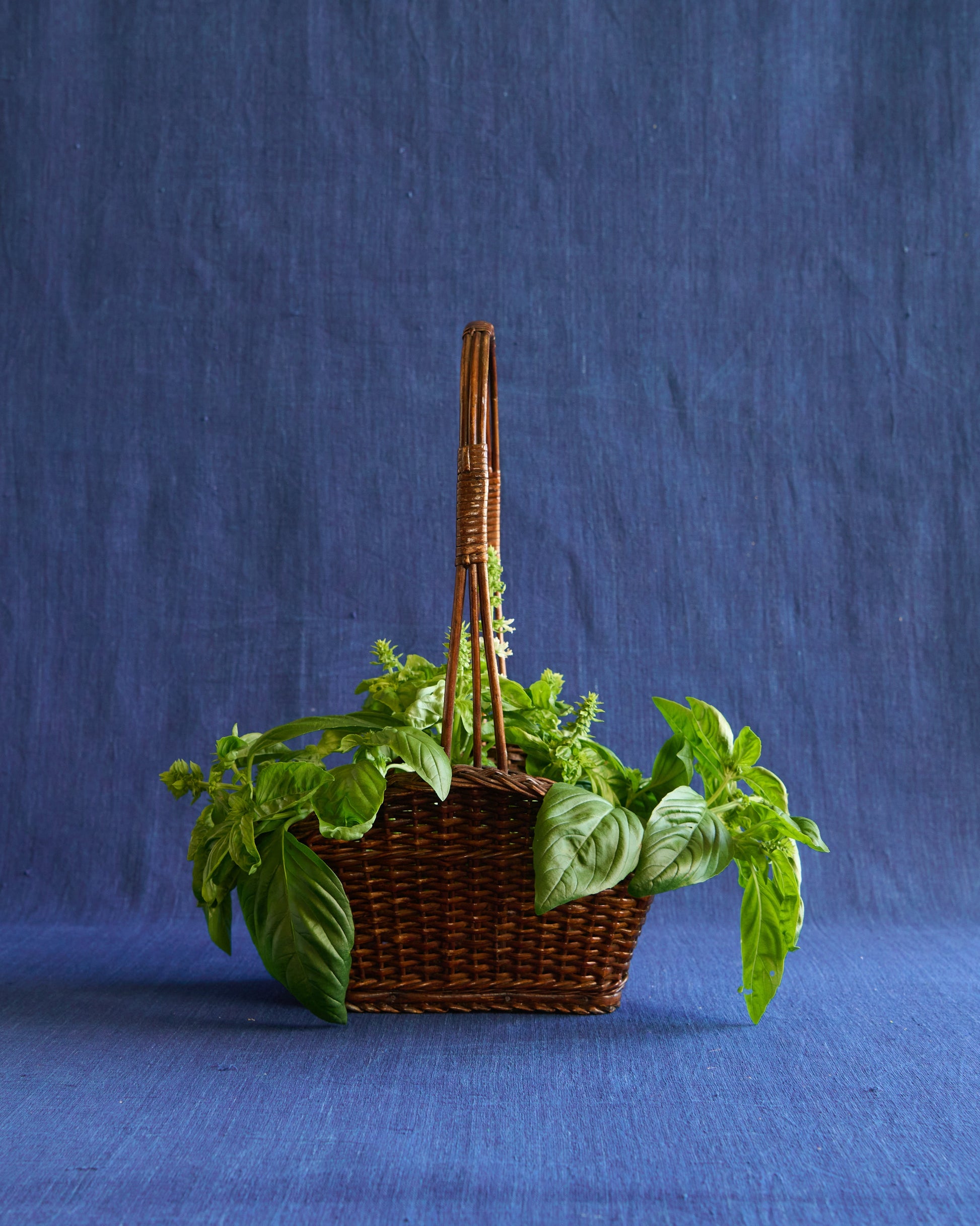 Panier de Montmartre - Sculptural Rattan Basket