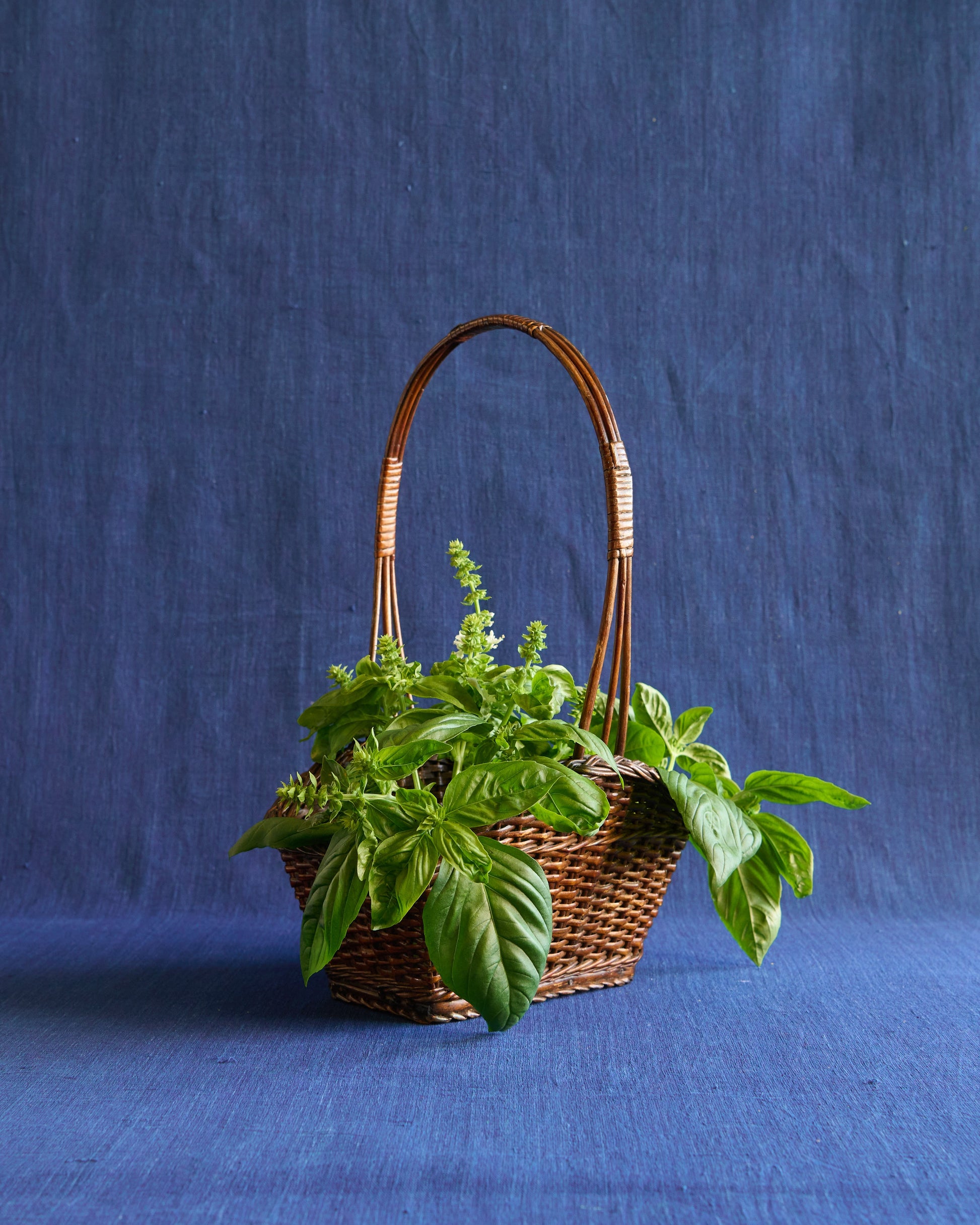 Panier de Montmartre - Sculptural Rattan Basket