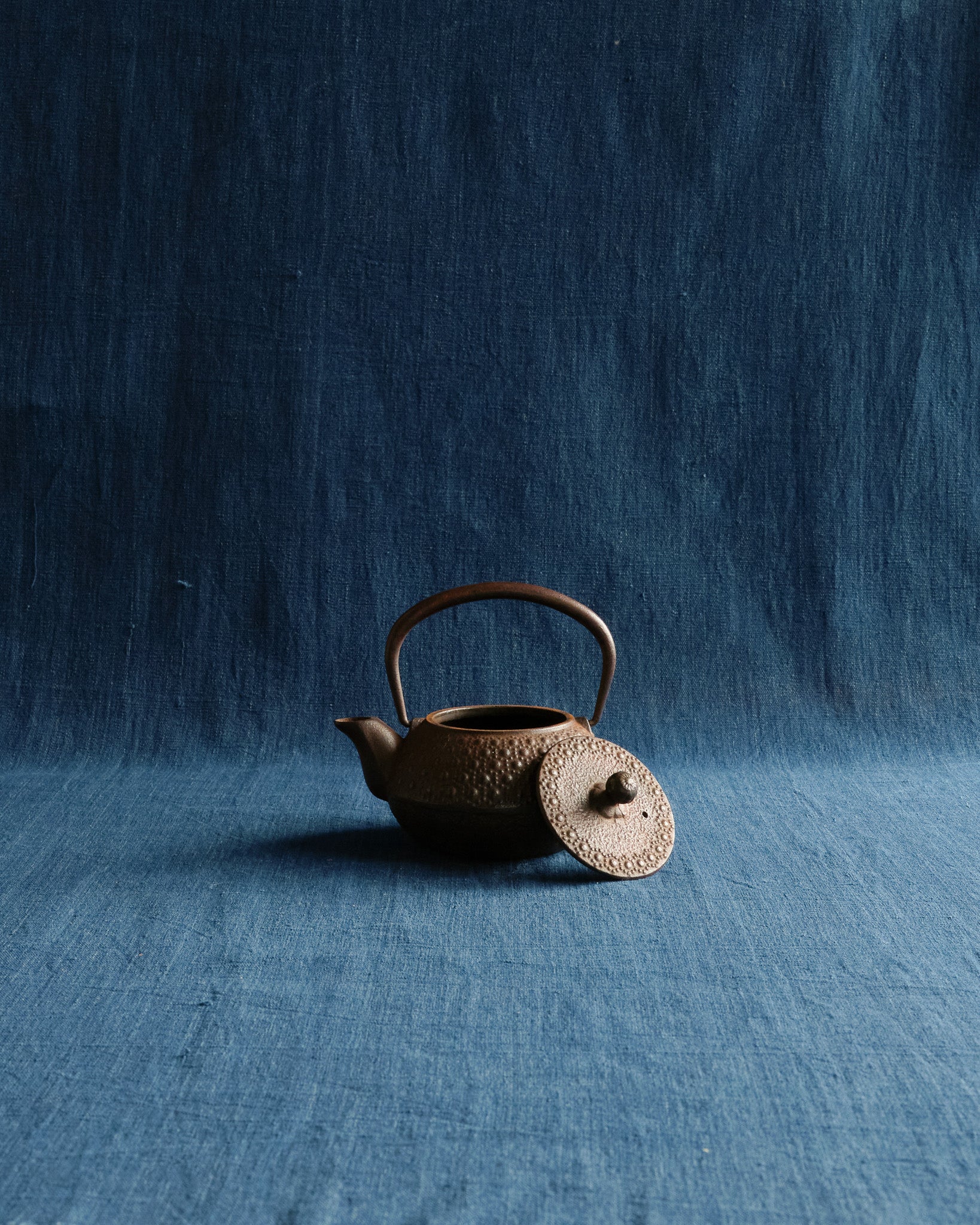 Autumn Patina Iron Teapot