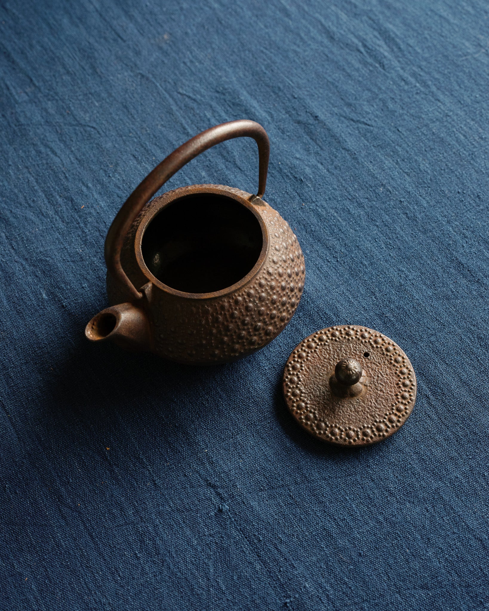 Autumn Patina Iron Teapot