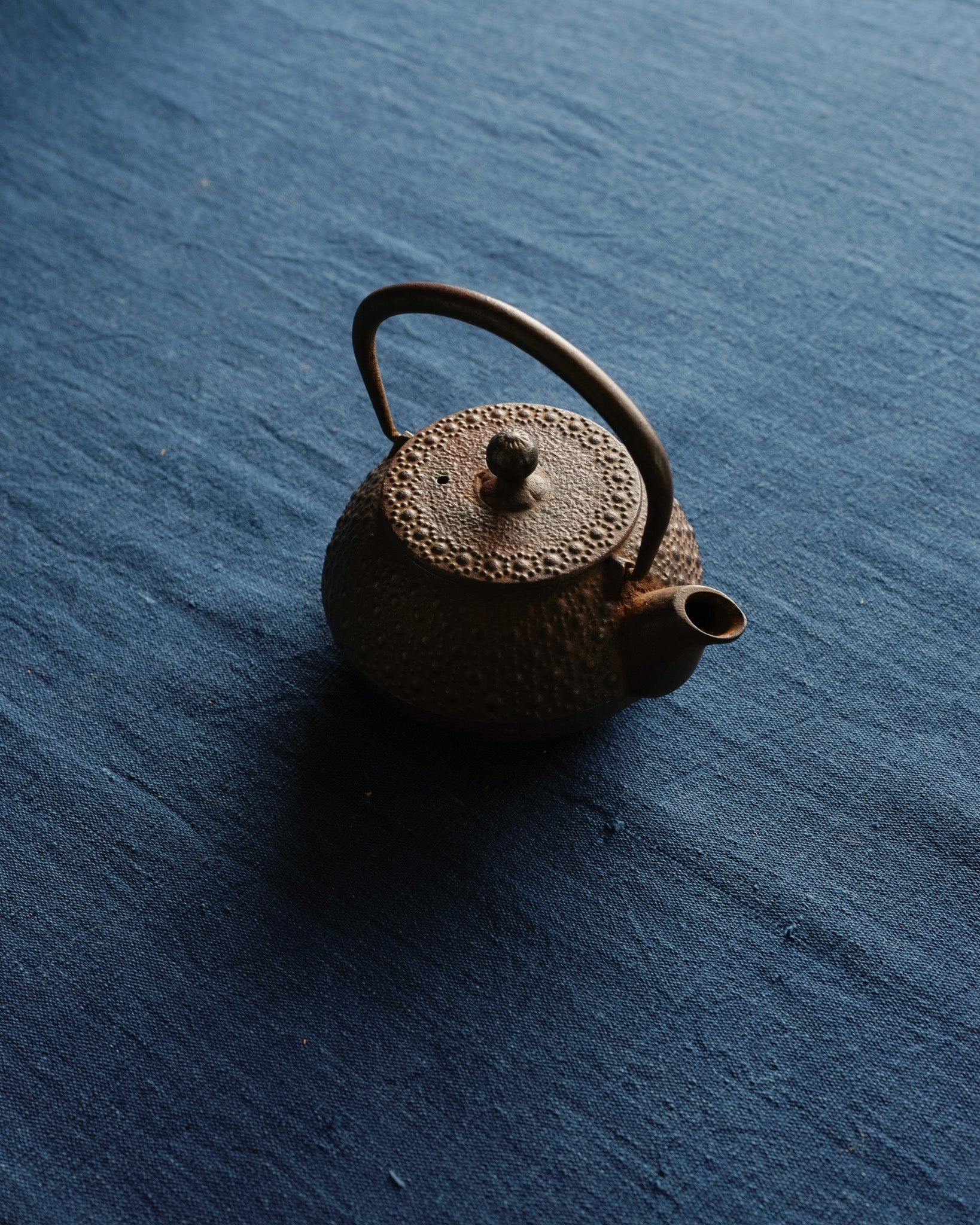 Autumn Patina Iron Teapot