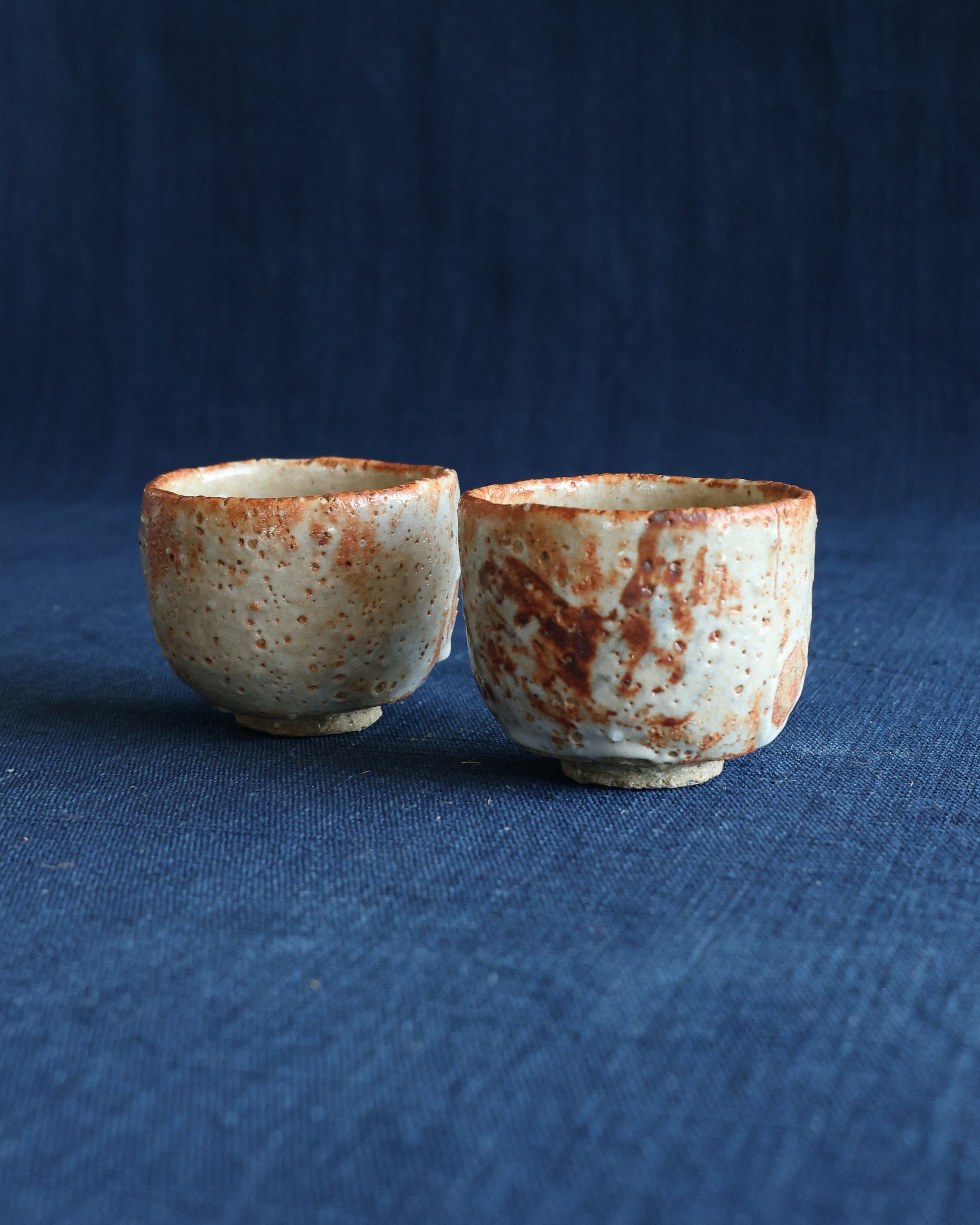 Banishino Sake Cups (Set of 2)